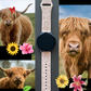 Highland Cow Floral 20mm Samsung Galaxy Watch Band