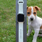 Jack Russell Dog Watch Band For Apple Watch