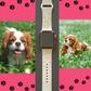 Joyful Cavalier King Charles Spaniel Dog Watch Band For Apple Watch