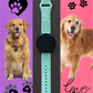 Cheerful Golden Retriever 20mm Samsung Galaxy Watch Band