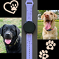 Labrador Retriever Dog 20mm Samsung Galaxy Watch Band