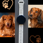 Long Hair Dachshund Dog Samsung Galaxy Watch Band