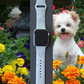 Maltese Dog Watch Band For Apple Watch