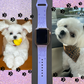 My Maltese Dog Watch Band For Apple Watch