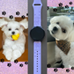 My Maltese Dog 20mm Samsung Galaxy Watch Band