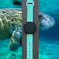 Manatee 20mm Samsung Galaxy Watch Band