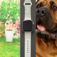 Mastiff Dog Watch Band For Apple Watch