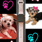 Morkie Dog Watch Band For Apple Watch