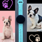My French Bulldog 20mm Samsung Galaxy Watch Band