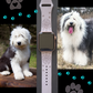 Old English Sheepdog Dog Watch Band For Apple Watch