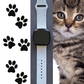 Cat Fitbit Versa 3/Versa 4/Sense/Sense 2 Watch Band