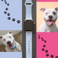 Happy Pit Bull Dog Watch Band For Apple Watch
