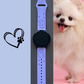 My Little Pomeranian 20mm Samsung Galaxy Watch Band