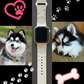 Pomsky Dog Watch Band For Apple Watch