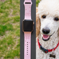 Poodle Dog Watch Band For Apple Watch