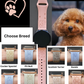 Dog Breed (#7) 20mm Samsung Galaxy Watch Band