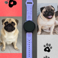 My Little Pug Dog 20mm Samsung Galaxy Watch Band
