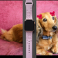 My Doxie Dog Dachshund With Bow Watch Band For Apple Watch