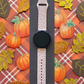 Autumn Pumpkins and Bows 20mm Samsung Galaxy Watch Band