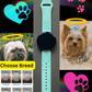 Rainbow Bridge Dog Breed 20mm Samsung Galaxy Watch Band