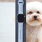 Poodle Dog Watch Band For Apple Watch
