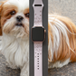 Joyful Shih Tzu Dog Watch Band For Apple Watch