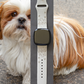 Joyful Shih Tzu Fitbit Versa 3/Versa 4/Sense/Sense 2 Watch Band