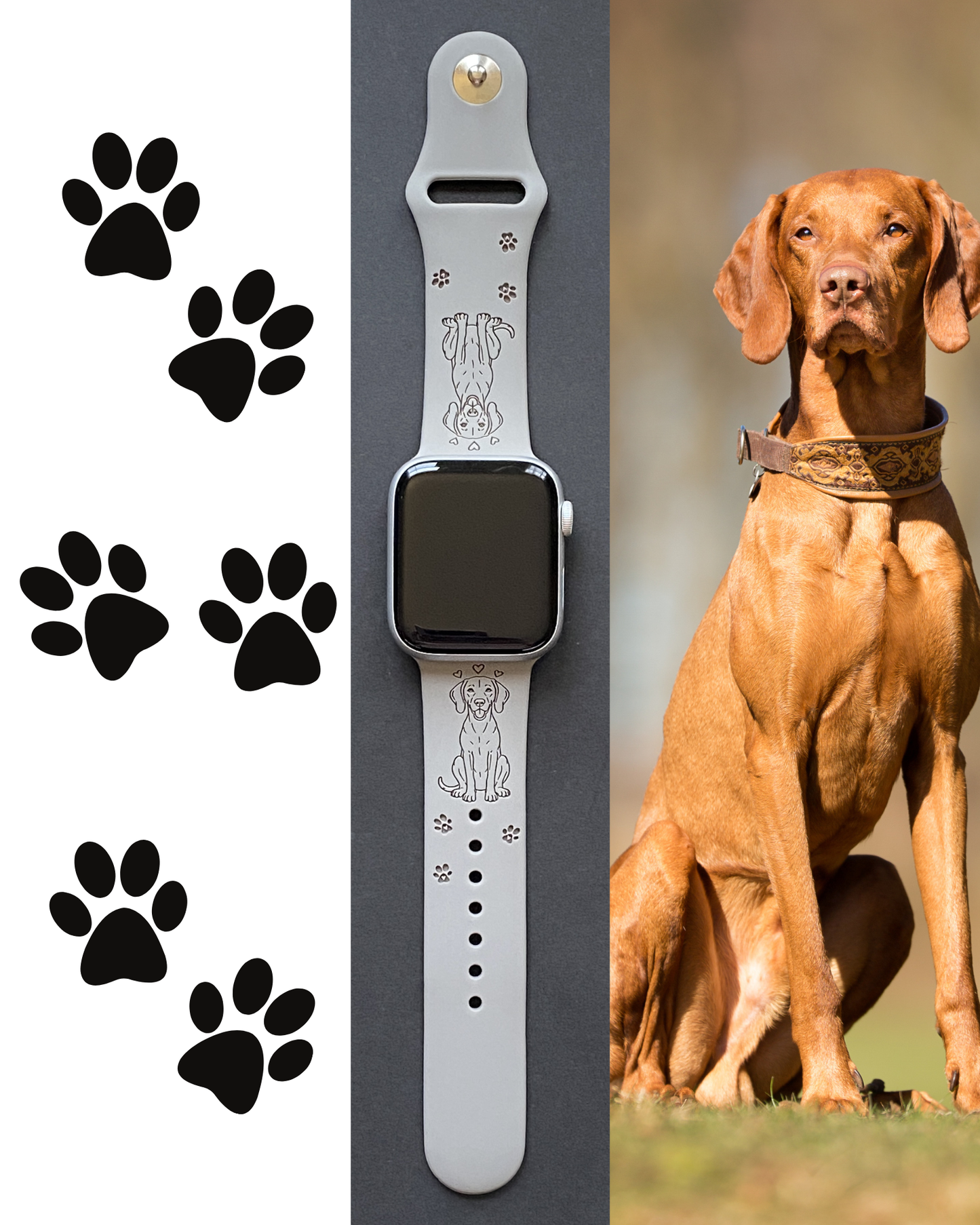 Vizsla Dog Watch Band For Apple Watch