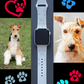 Wire Fox Terrier Dog Watch Band For Apple Watch