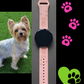 Yorkie Dog 20mm Samsung Galaxy Watch Band