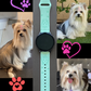 My Yorkie Dog Samsung Galaxy Watch Band