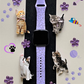 Cat Fitbit Versa 1/2 Watch Band
