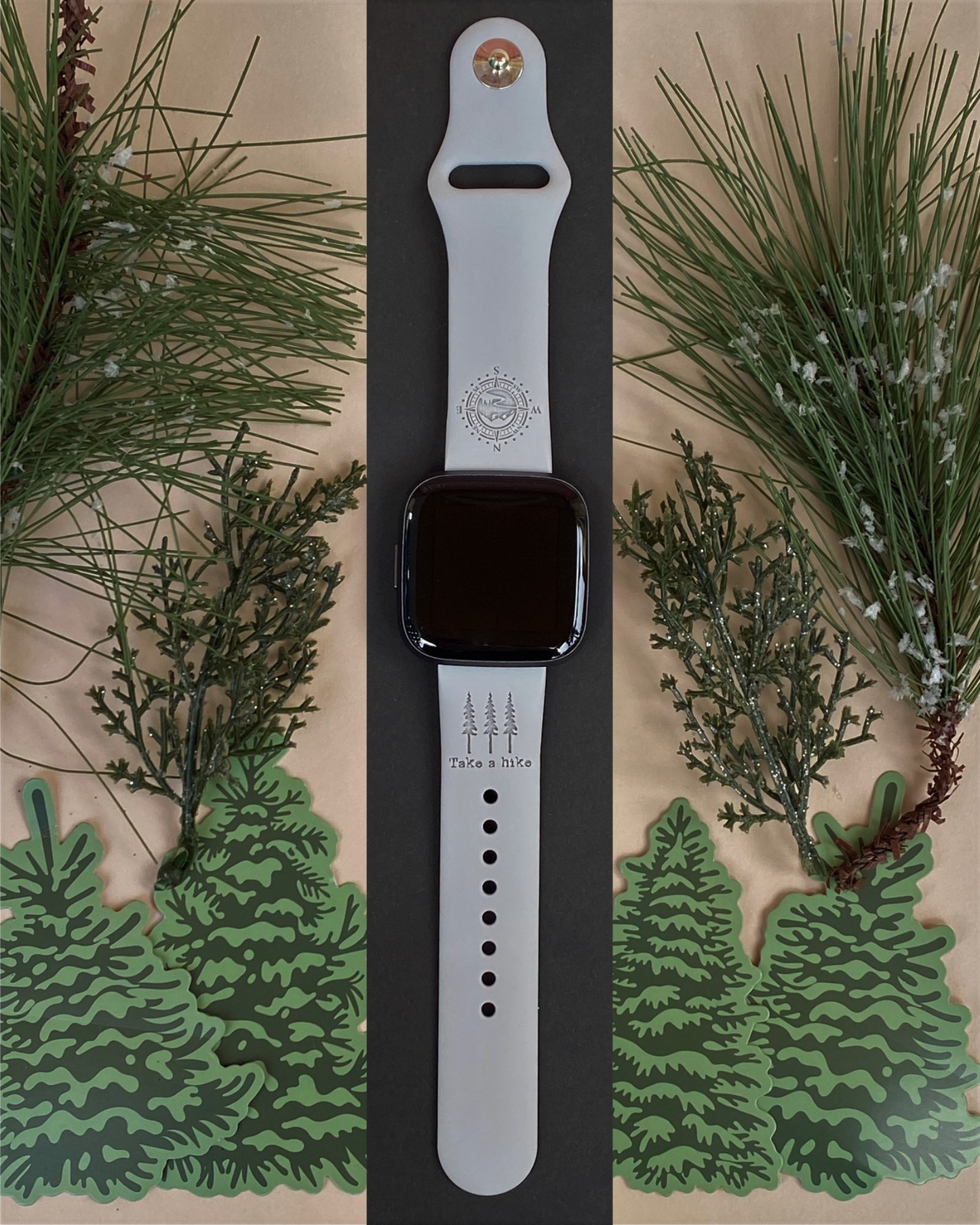 Take a Hike Fitbit Versa 1/2 Watch Band